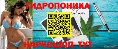 spice Камышлов