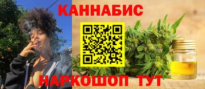 spice Камышлов