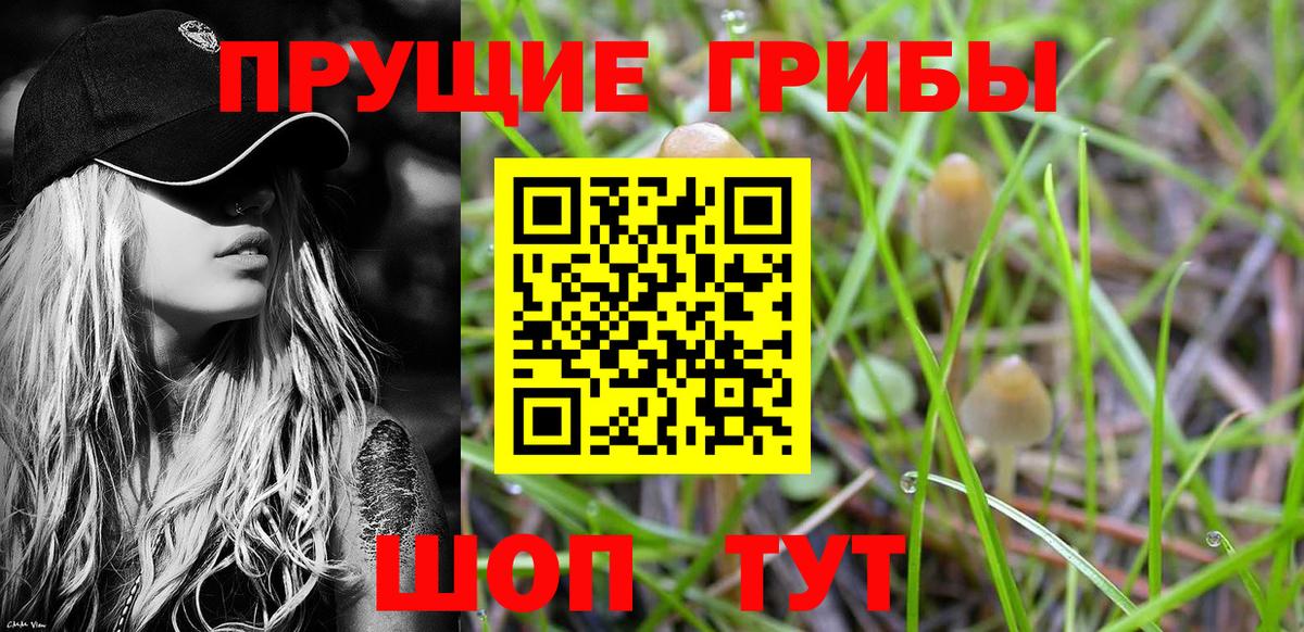 Кореновск  Псилоцибиновые грибы GOLDEN TEACHER  Вход с VPN 