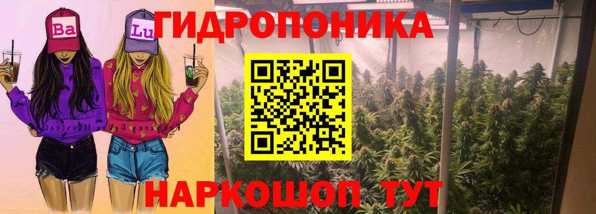 Шишки марихуана марихуана  Вход с VPN  Кореновск  Конопля Ganja  Конопля Ganja  МАРИХУАНА LSD WEED 